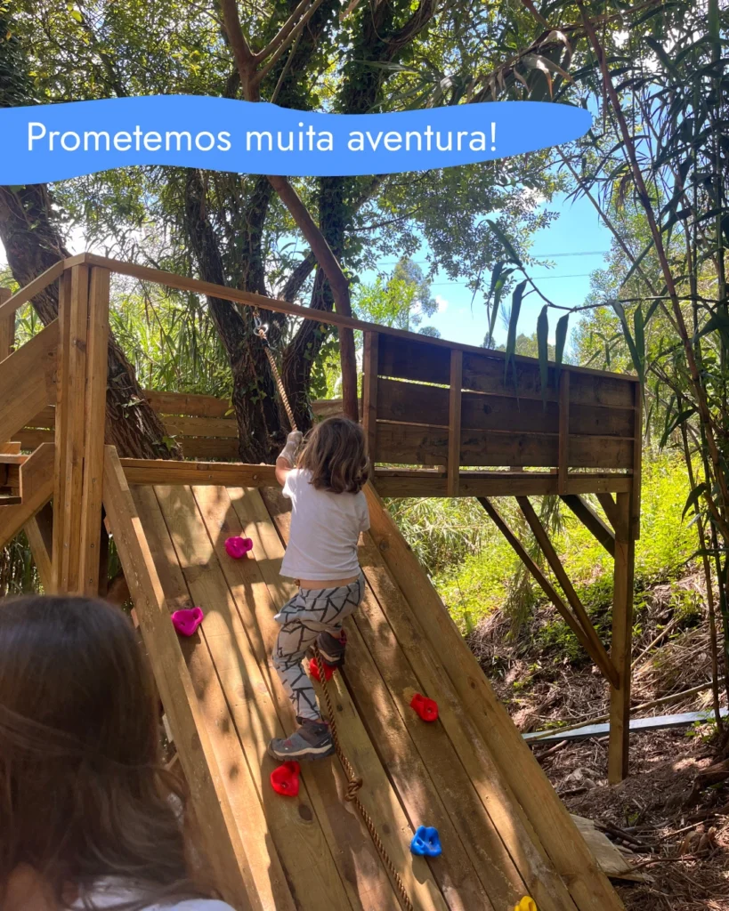 Férias de verão na Floresta