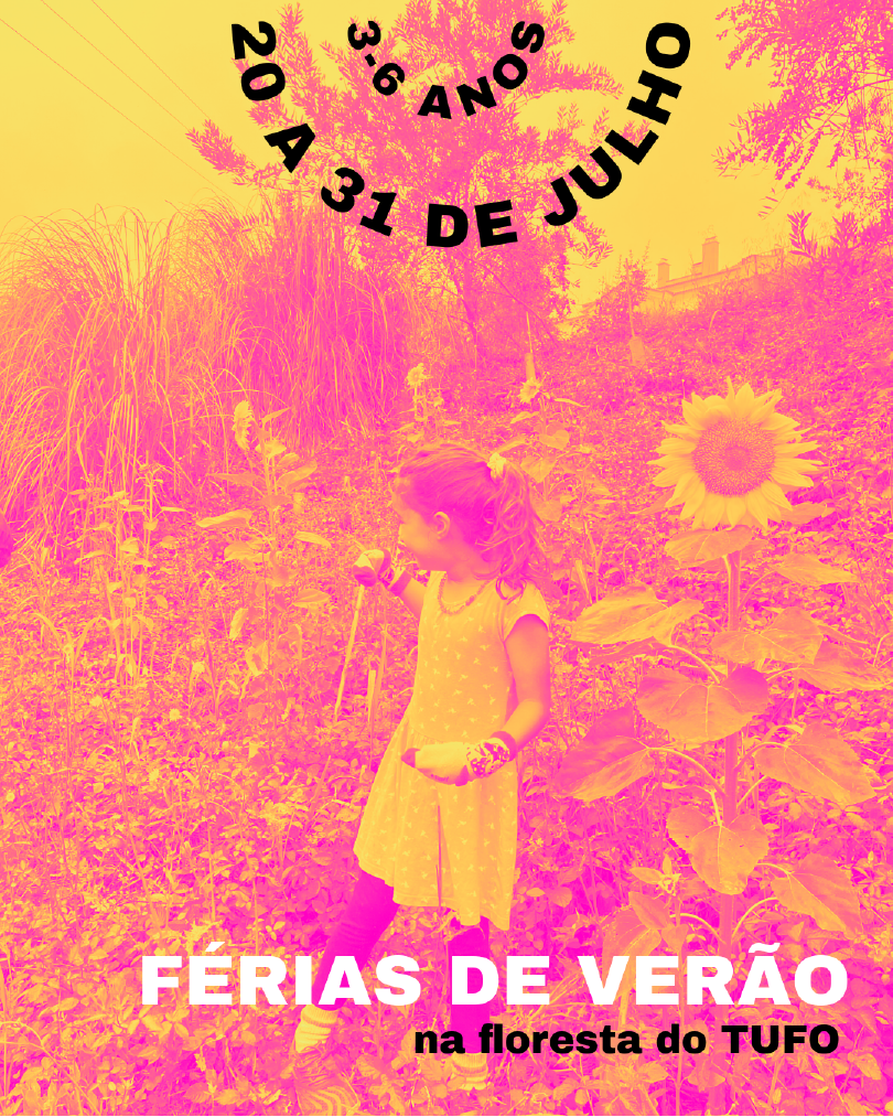 Férias de Verão na floresta